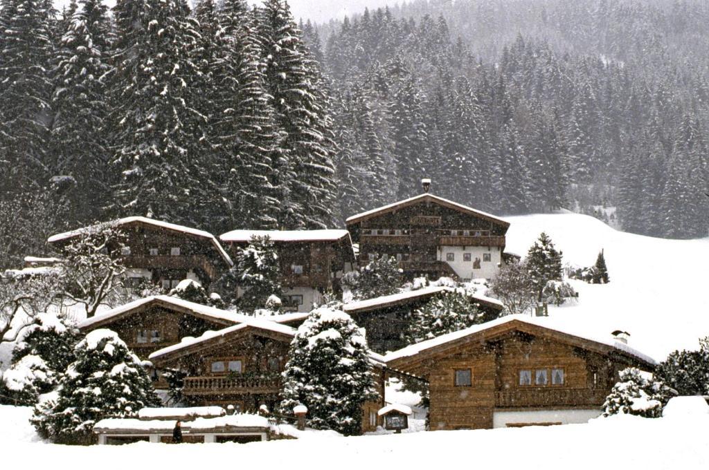 Ferienhaeuser Reither Almen Reith im Alpbachtal Oda fotoğraf