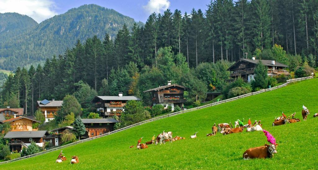 Ferienhaeuser Reither Almen Reith im Alpbachtal Oda fotoğraf