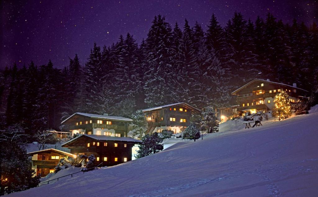 Ferienhaeuser Reither Almen Reith im Alpbachtal Dış mekan fotoğraf